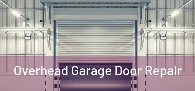  Overhead Garage Door Repair 